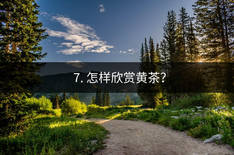 ? 7. 怎樣欣賞黃茶？