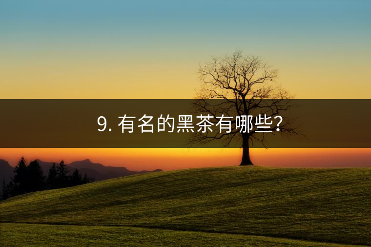 ? 9. 有名的黑茶有哪些？