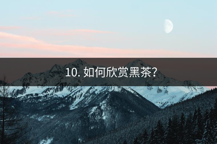 ? 10. 如何欣賞黑茶？