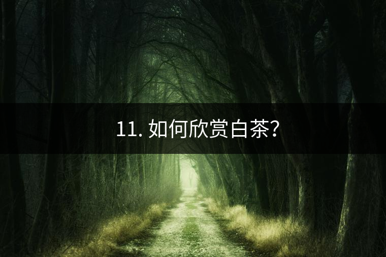 ??11. 如何欣賞白茶？