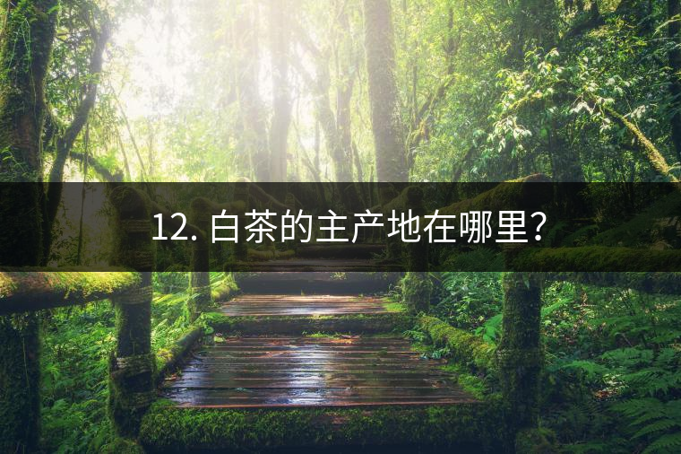 ? 12. 白茶的主產(chǎn)地在哪里？