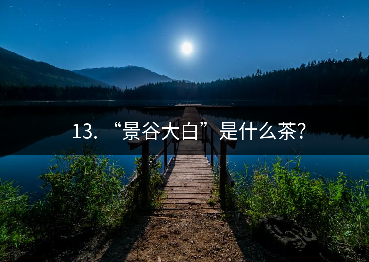 ? 13. “景谷大白”是什么茶？