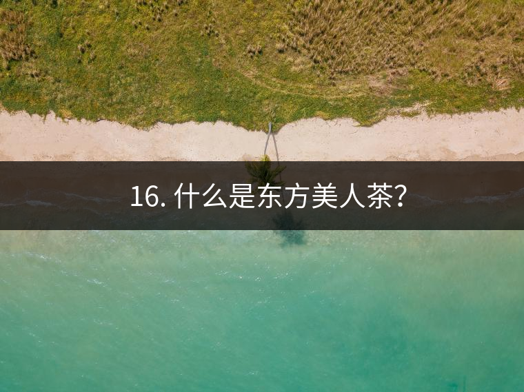 ? 16. 什么是東方美人茶？