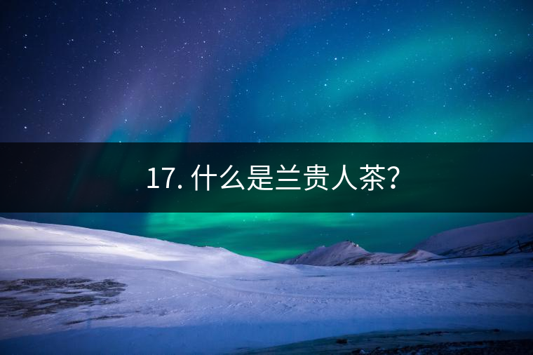 ? 17. 什么是蘭貴人茶？