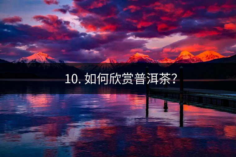 ? 10. 如何欣賞普洱茶？