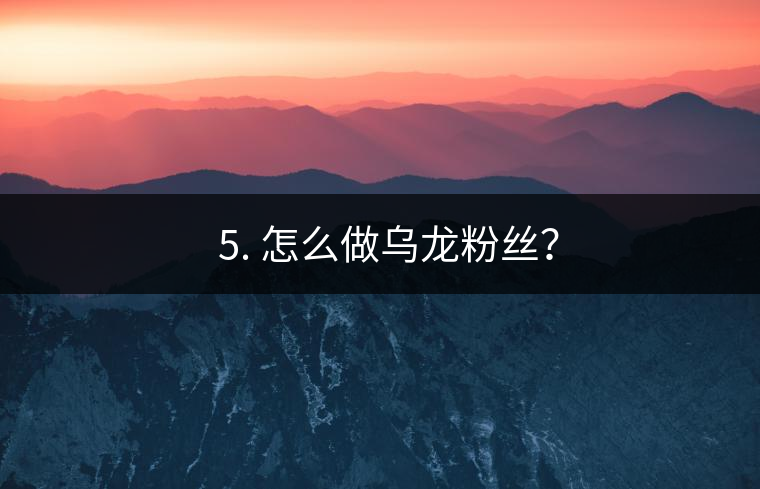 ? 5. 怎么做烏龍粉絲？