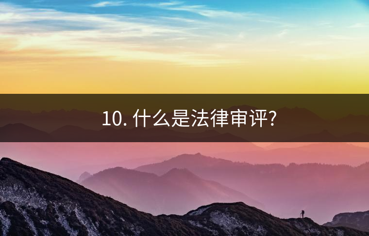 ? 10. 什么是法律審評?
