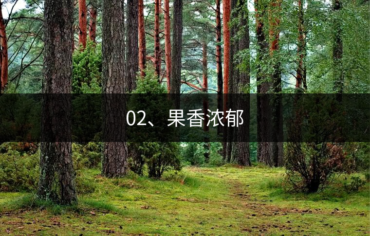 02、果香濃郁
