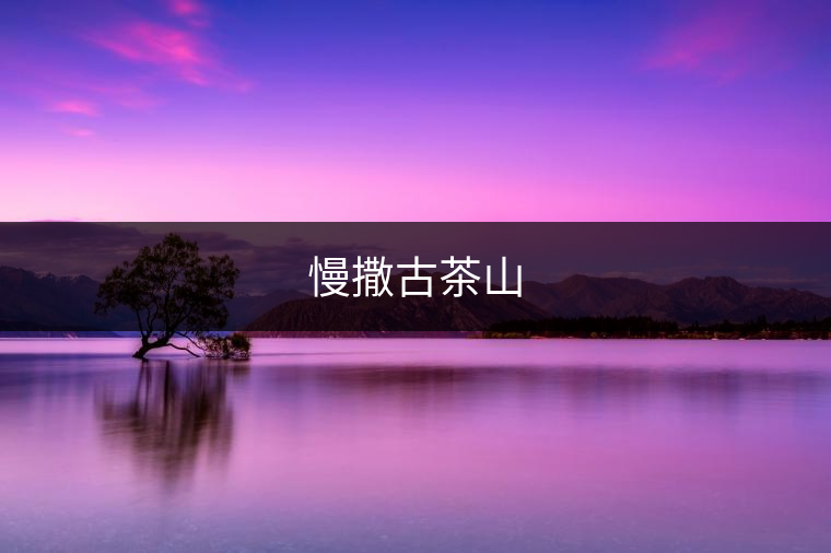 慢撒古茶山