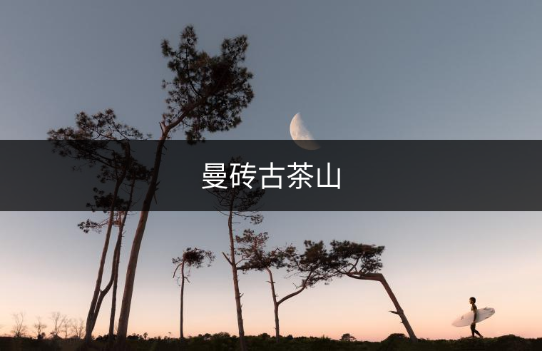 曼磚古茶山