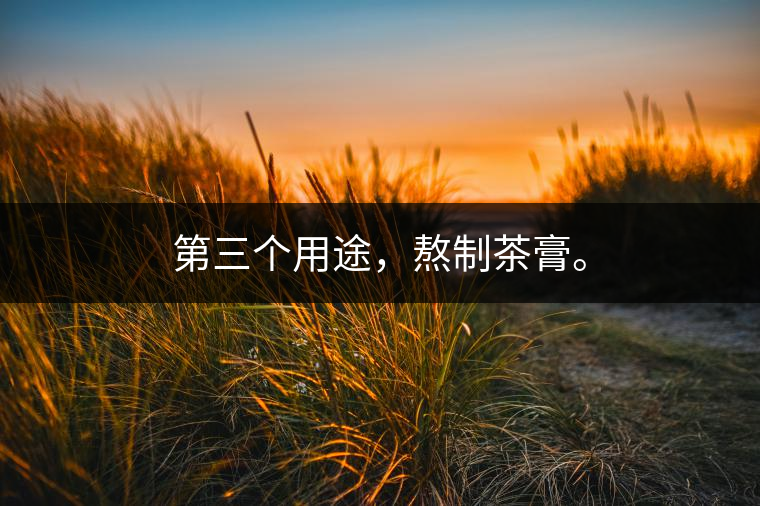 第三個(gè)用途，熬制茶膏。