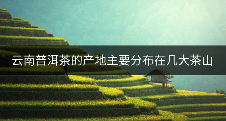 云南普洱茶的產(chǎn)地主要分布在幾大茶山，普洱茶古茶山以瀾滄江為界劃分為