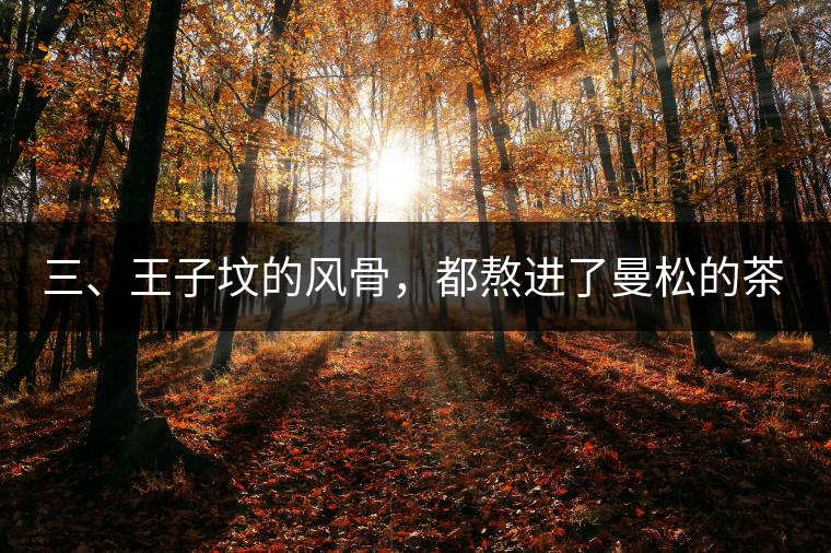 三、王子墳的風骨，都熬進了曼松的茶湯里