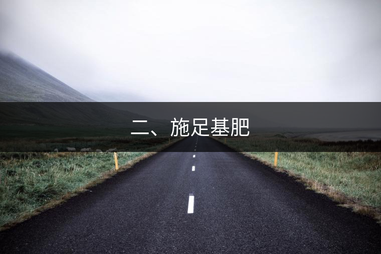 二、施足基肥
