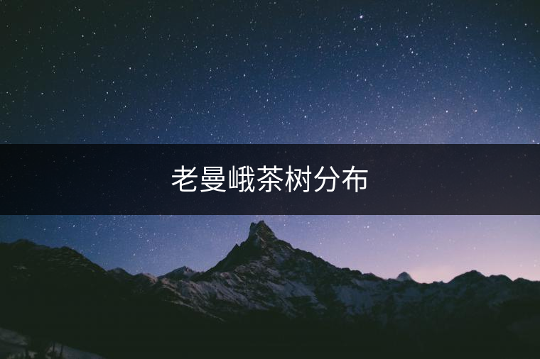 老曼峨茶樹分布