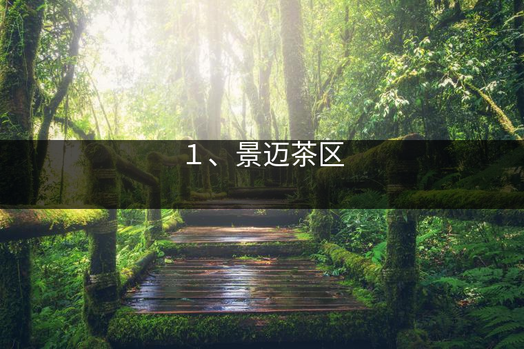 １、景邁茶區(qū)
?