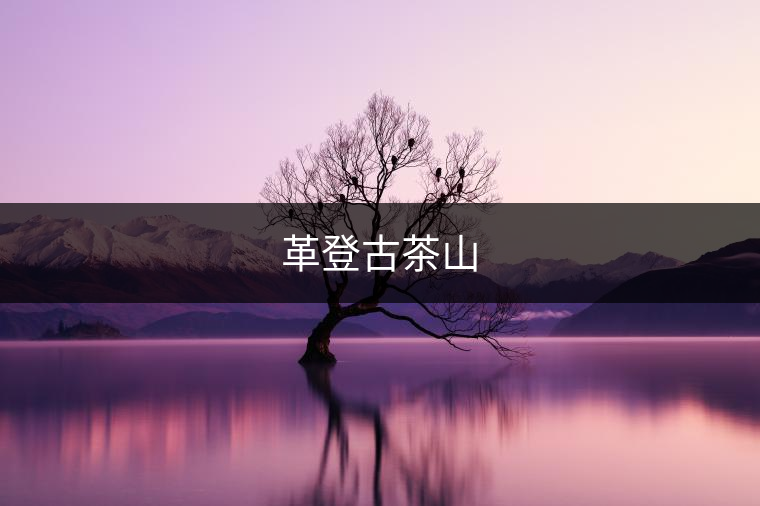 革登古茶山