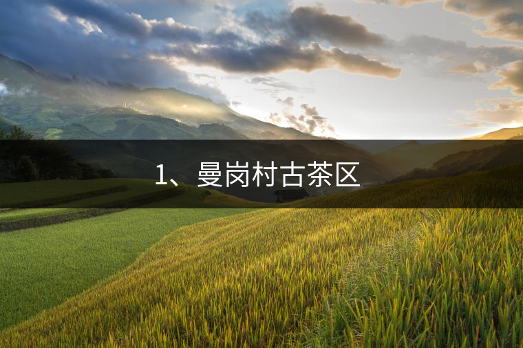 1、曼崗村古茶區(qū) ?