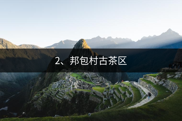 2、邦包村古茶區(qū)