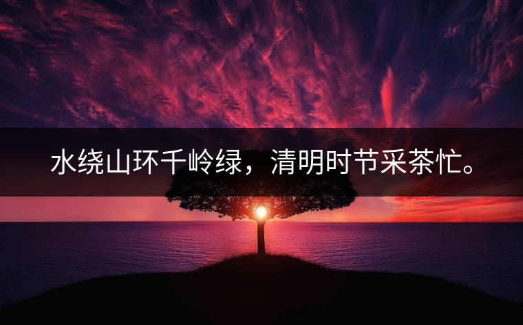 水繞山環(huán)千嶺綠，清明時節(jié)采茶忙。
