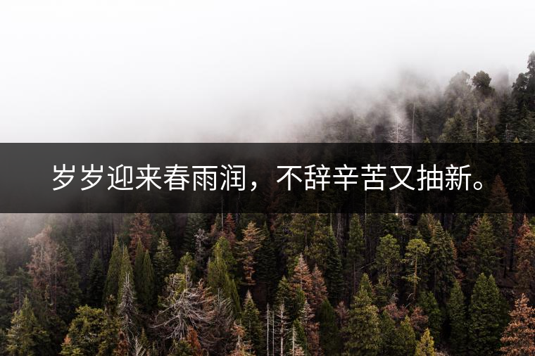 歲歲迎來春雨潤，不辭辛苦又抽新。