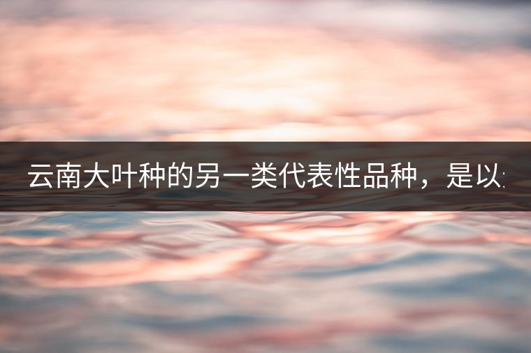 云南大葉種的另一類代表性品種，是以無性繁殖方式選育出來的云南大葉種的后代。主要有：云抗43號(hào)、長葉白毫；云抗10號(hào)、云抗14號(hào)：云梅、云瑰、矮豐等；云選9號(hào)、云抗37號(hào).