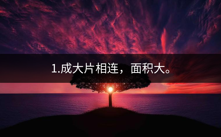 1.成大片相連，面積大。