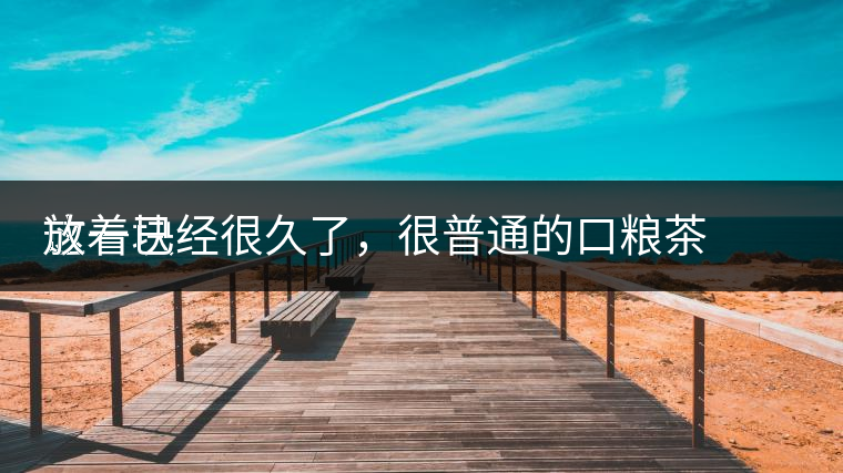 這一塊
放著已經(jīng)很久了，很普通的口糧茶，煙味很重，但回甘也可以，隨意喝喝吧。