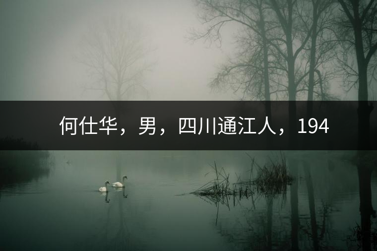 　　何仕華，男，四川通江人，1942年7月生，高級(jí)工程師、副研究員，曾任云南省高級(jí)工程師高評(píng)委委員，云南省老科協(xié)茶葉分會(huì)副會(huì)長(zhǎng)，云南省普洱茶葉協(xié)會(huì)技術(shù)委員會(huì)副主任，云南省普洱茶研究中心研究員，獲覺農(nóng)勛章獎(jiǎng)、老茶人貢獻(xiàn)獎(jiǎng)，全國(guó)弘揚(yáng)茶文化突出貢獻(xiàn)獎(jiǎng)。