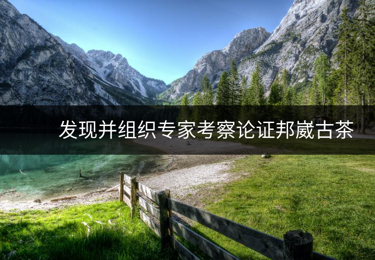 　　發(fā)現(xiàn)并組織專家考察論證邦崴古茶樹是世界上唯一的過渡型千年古茶樹，長(zhǎng)期致力于保護(hù)瀾滄景邁古茶林，成為古茶樹保護(hù)的忠誠(chéng)衛(wèi)士，被譽(yù)為”中國(guó)古茶第一人”。