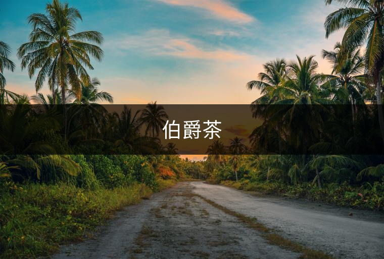 伯爵茶