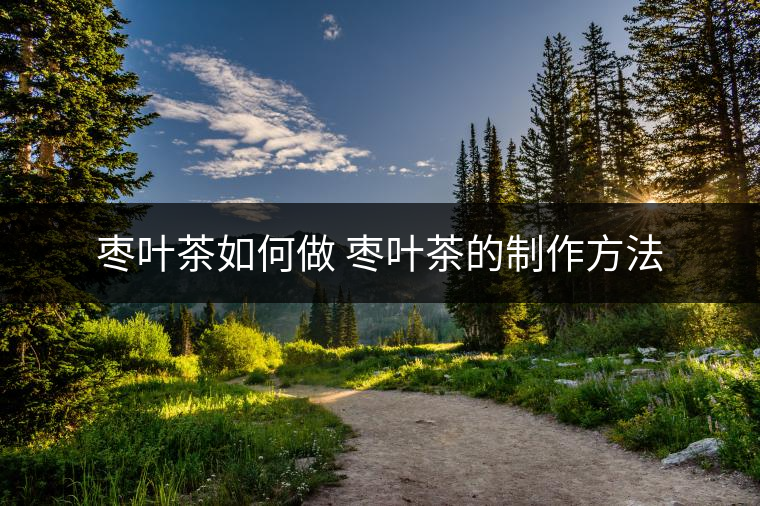 棗葉茶如何做 棗葉茶的制作方法