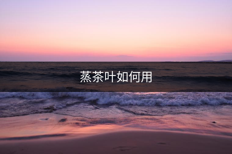 蒸茶葉如何用