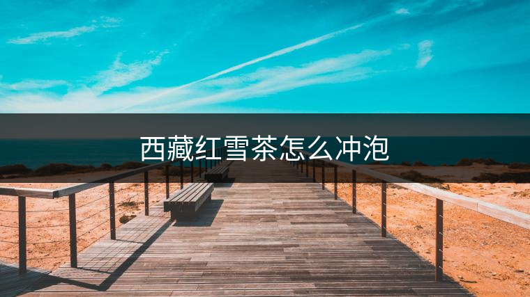 西藏紅雪茶怎么沖泡