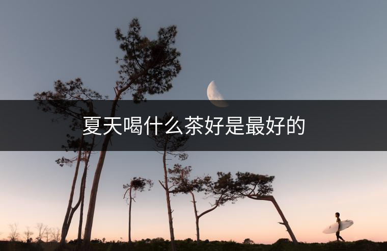 夏天喝什么茶好是最好的
