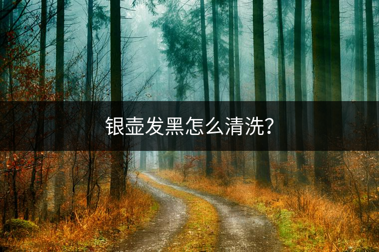 銀壺發(fā)黑怎么清洗？