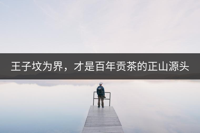 王子墳為界，才是百年貢茶的正山源頭