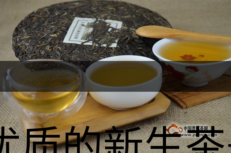 優(yōu)質(zhì)的新生茶是什么樣的？-1