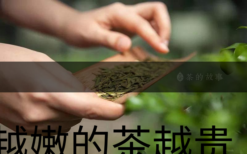 越嫩的茶越貴，但越貴的茶就越好嗎？