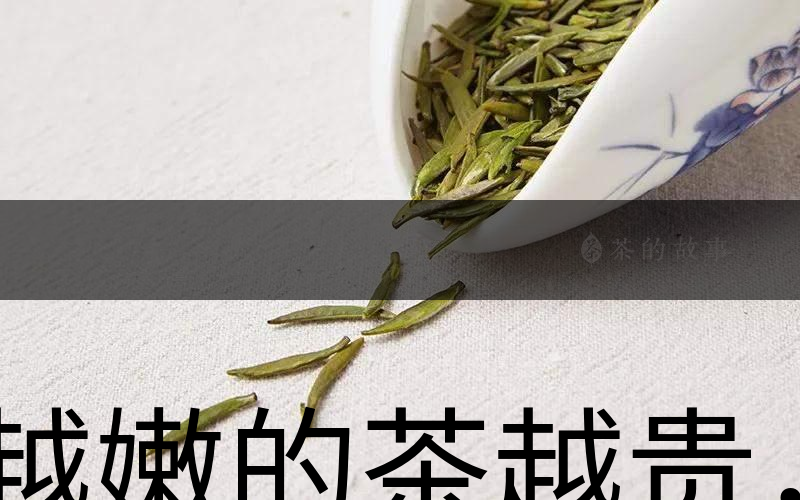 越嫩的茶越貴，但越貴的茶就越好嗎？-1
