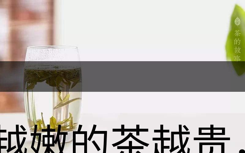 越嫩的茶越貴，但越貴的茶就越好嗎？-2