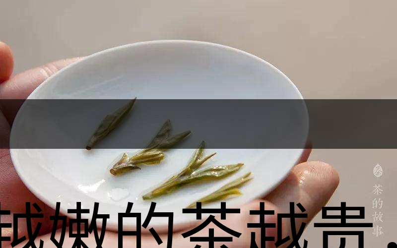 越嫩的茶越貴，但越貴的茶就越好嗎？-3