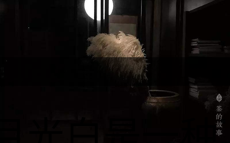 月光白是一種什么茶？