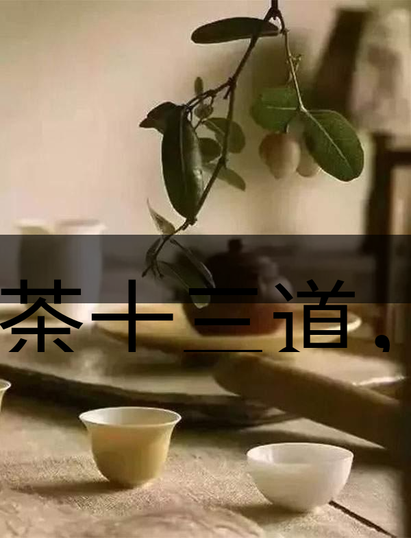 喝茶十三道，道道皆精華！-2