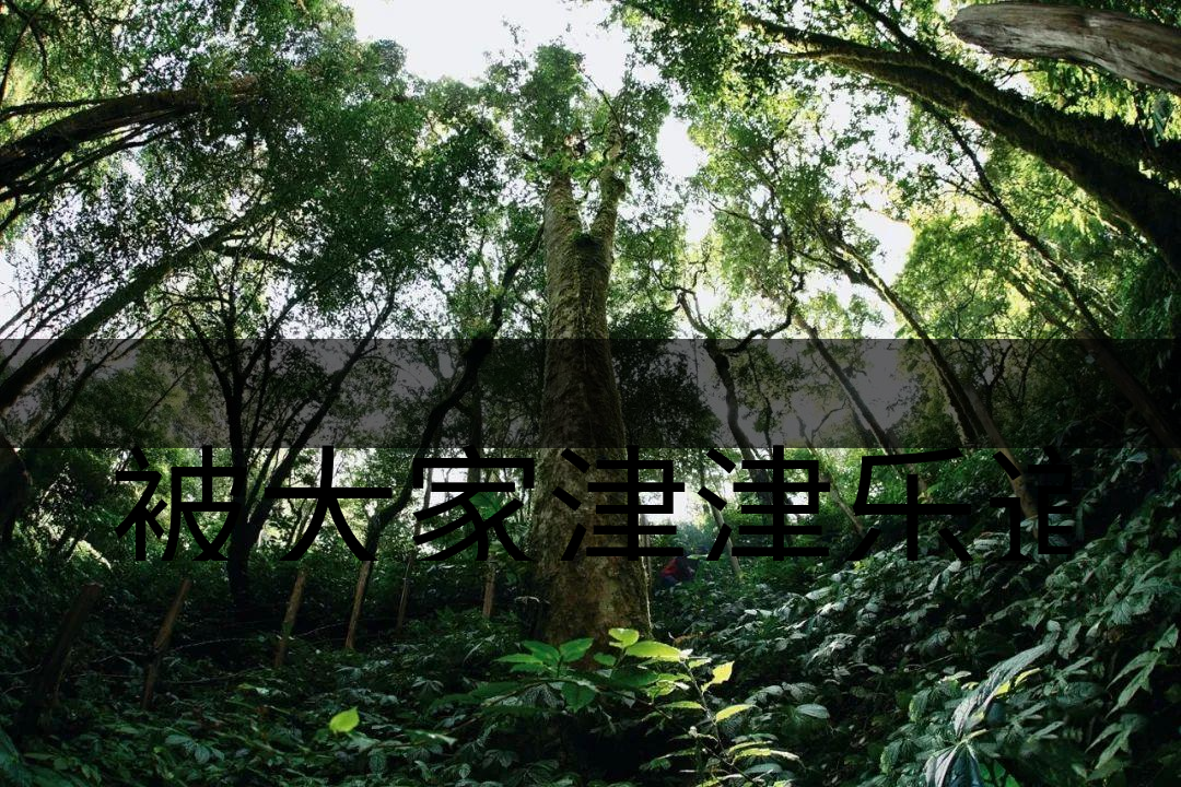 被大家津津樂道的森林茶，你知道是什么？-6-1