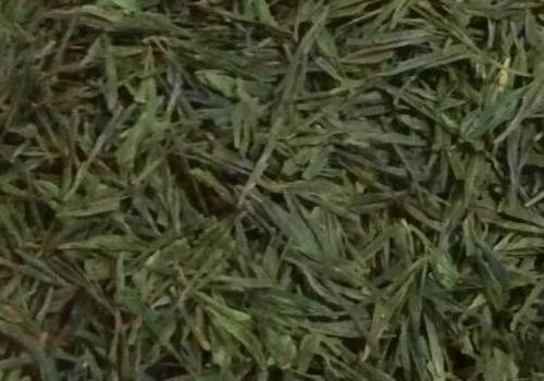 什么是海青茶？沖泡手法詳細教學！