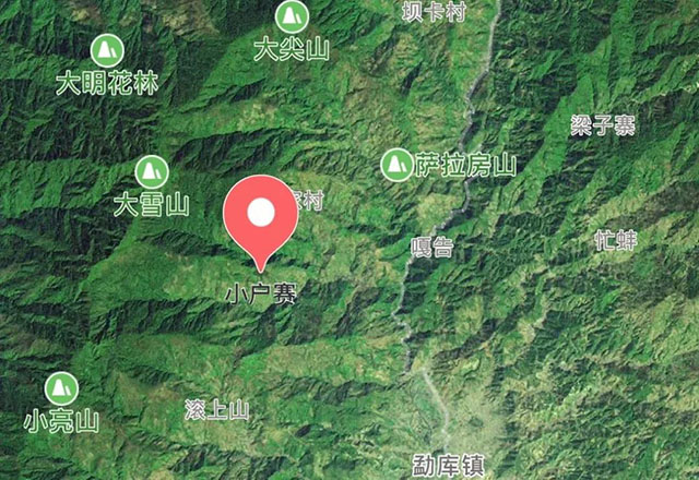 2021年小戶賽古樹秋茶有什么特點(diǎn)？