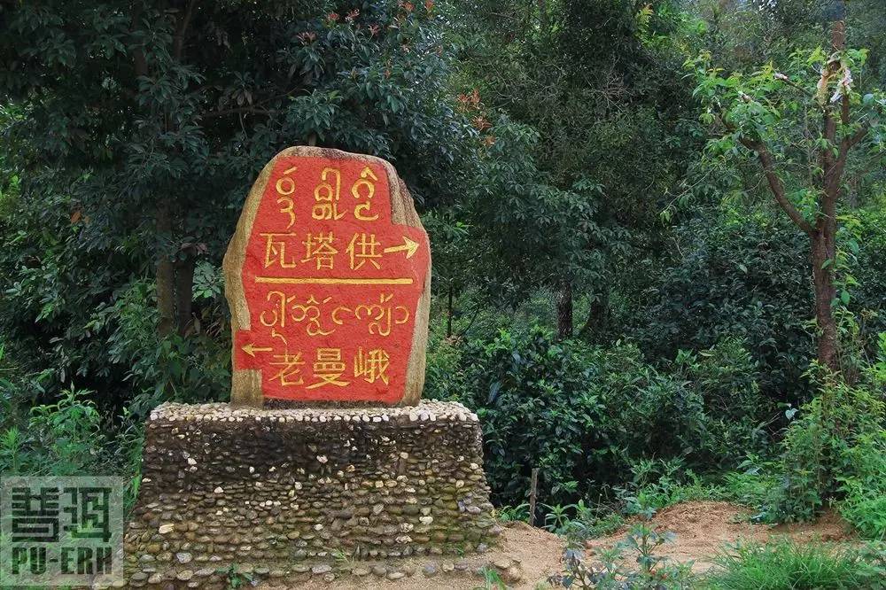 2021年老曼峨古樹秋茶價格多少？