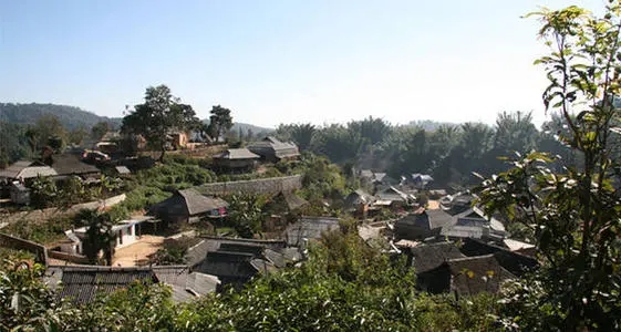 2021年班章茶區(qū)壩卡竜古樹秋茶多少錢一公斤？