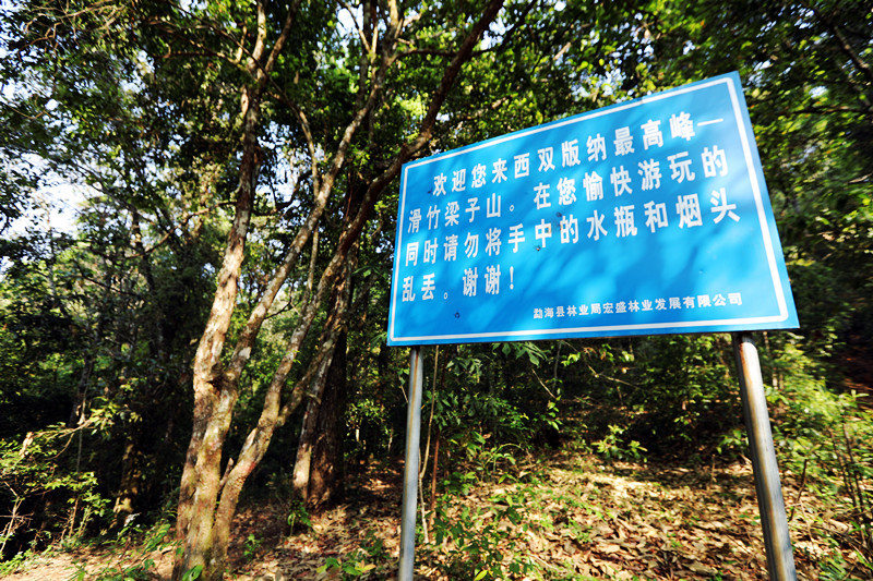 2021年滑竹梁子古樹秋茶價格？